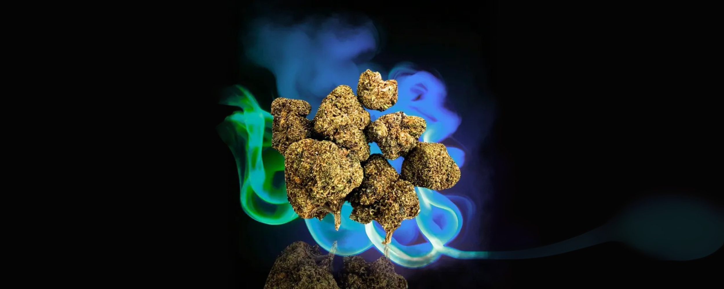 Blueberry CBD-knopper (2500 x 1000 pik) Blueberry CBD-knopper (2500 x 1000 pik)