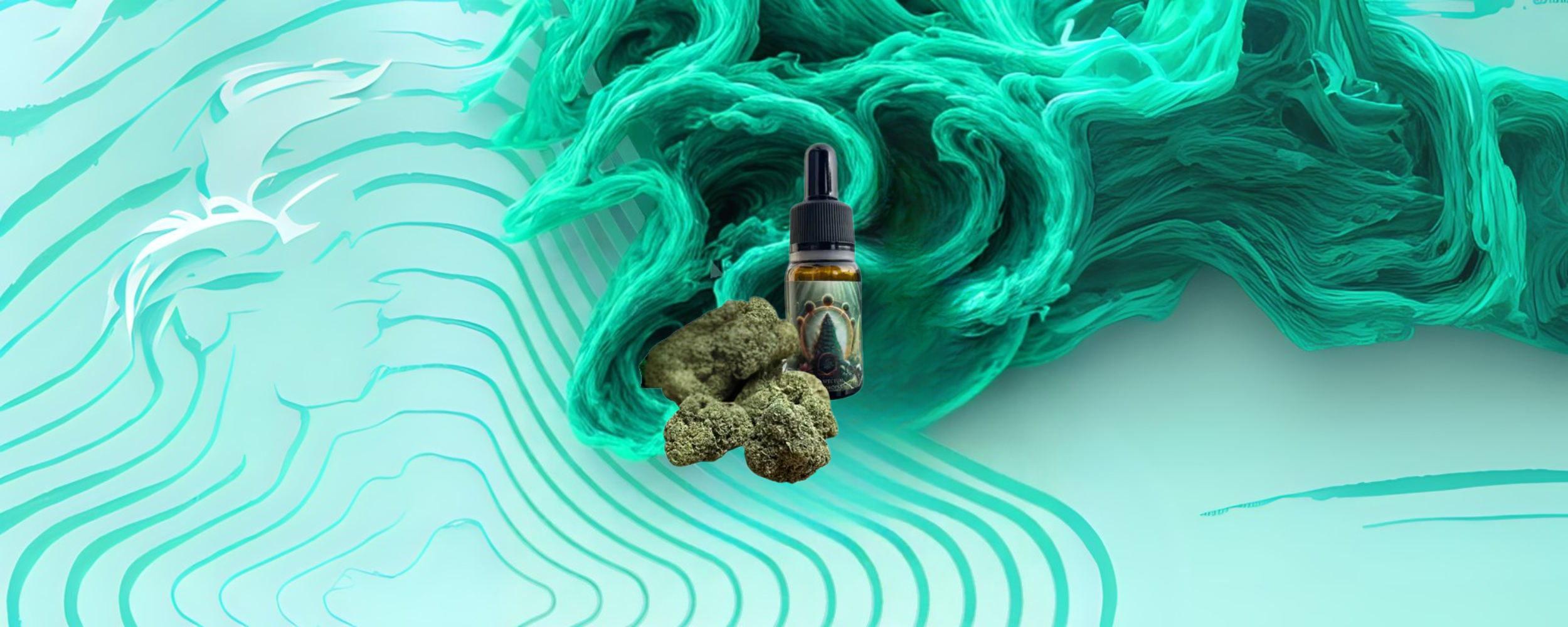 cbd izdelka 2500x1000 cbd izdelka 2500x1000